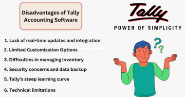 Disadvantages of Tally Accounting Software